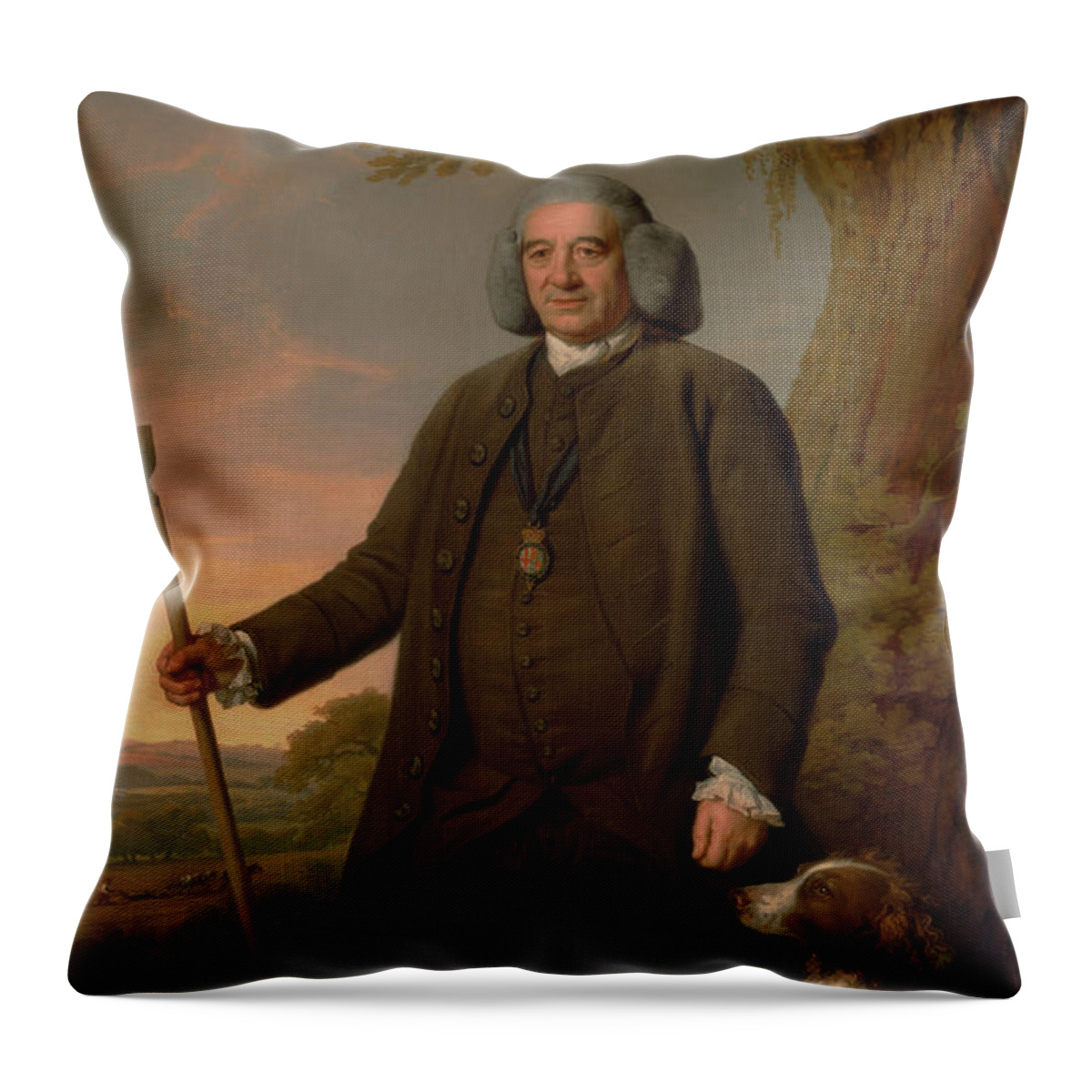 18th Century Art Throw Pillow featuring the painting Thomas Sense Browne by Nathaniel Dance-Holland