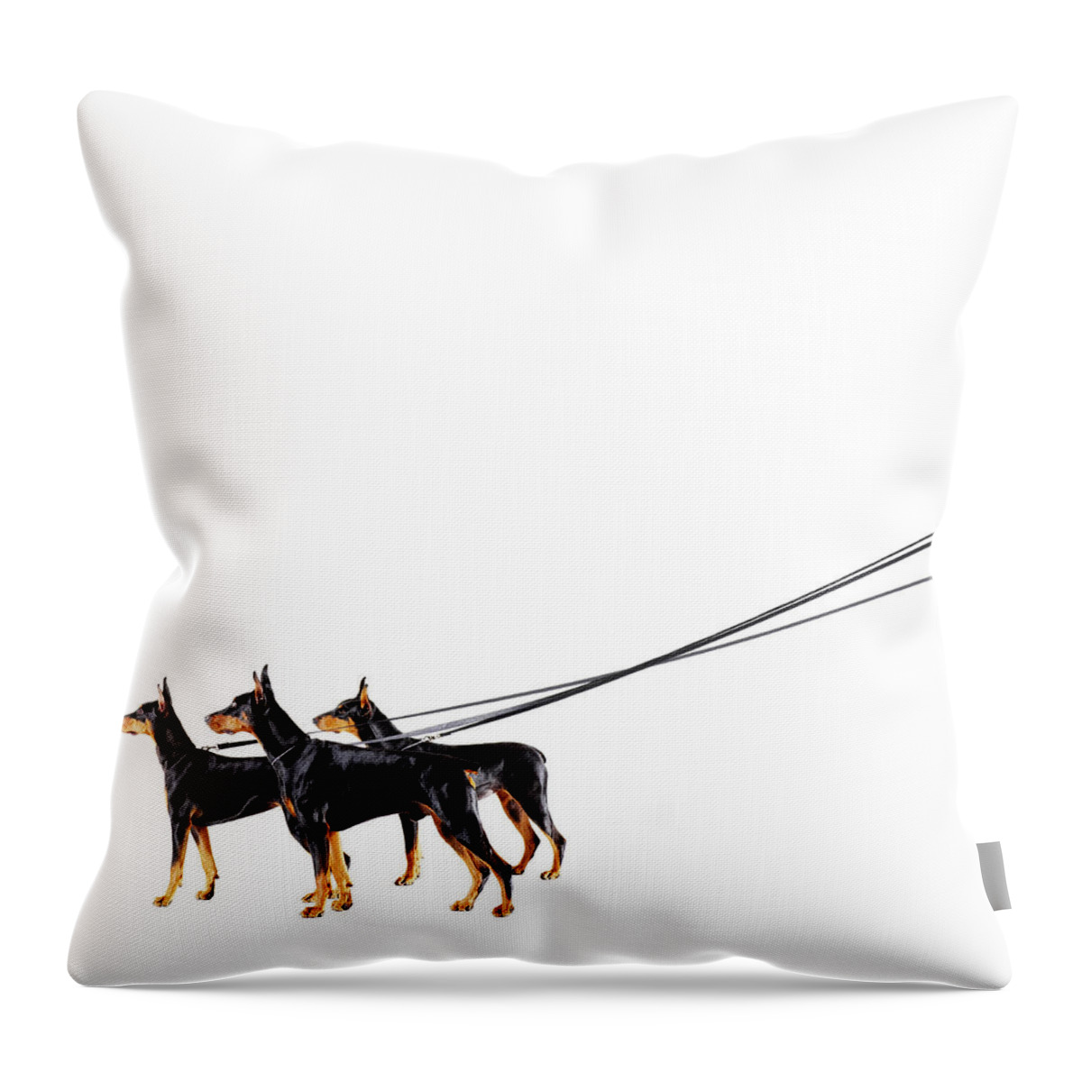 Pets Throw Pillow featuring the photograph Three Dobermans On Leash by Thomas Northcut