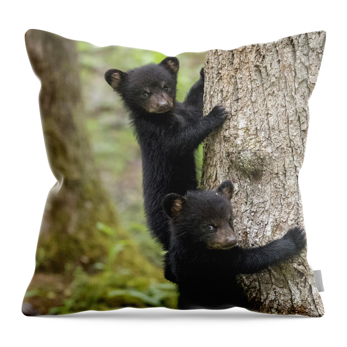 Bear Throw Pillow featuring the photograph Three Little Bears by Everet Regal