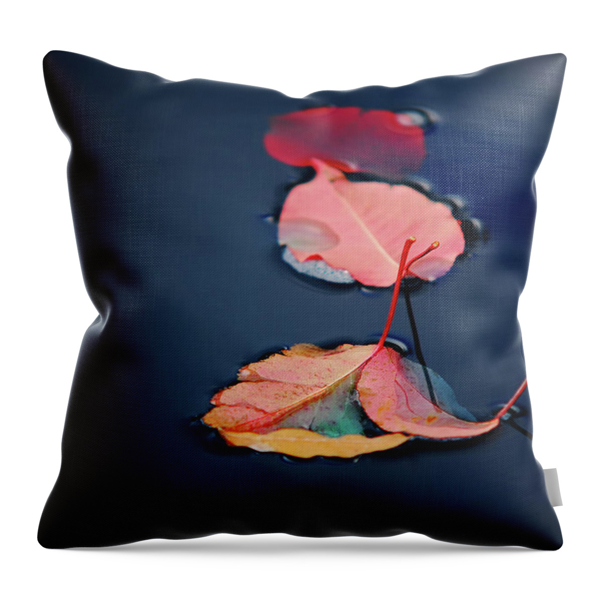 Outdoors Throw Pillow featuring the photograph Three Red Leaves Floating On Water by Richard Eden