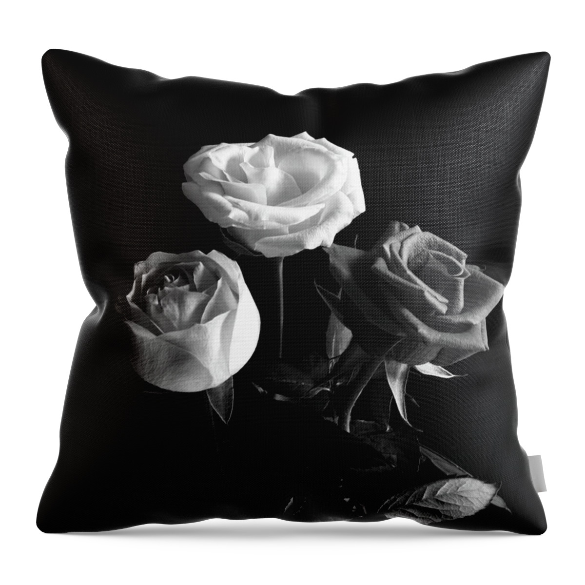 Three Roses Throw Pillow featuring the photograph Three Roses Monochrome by Jeff Townsend