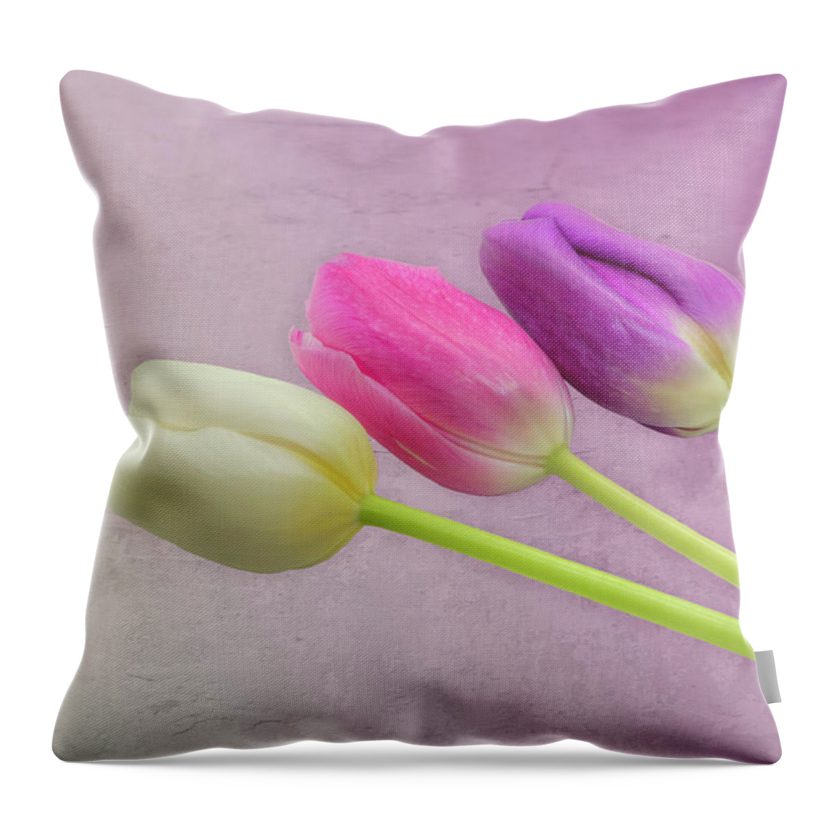 Tulip Throw Pillow featuring the photograph Three Tulips 0947 by Kristina Rinell