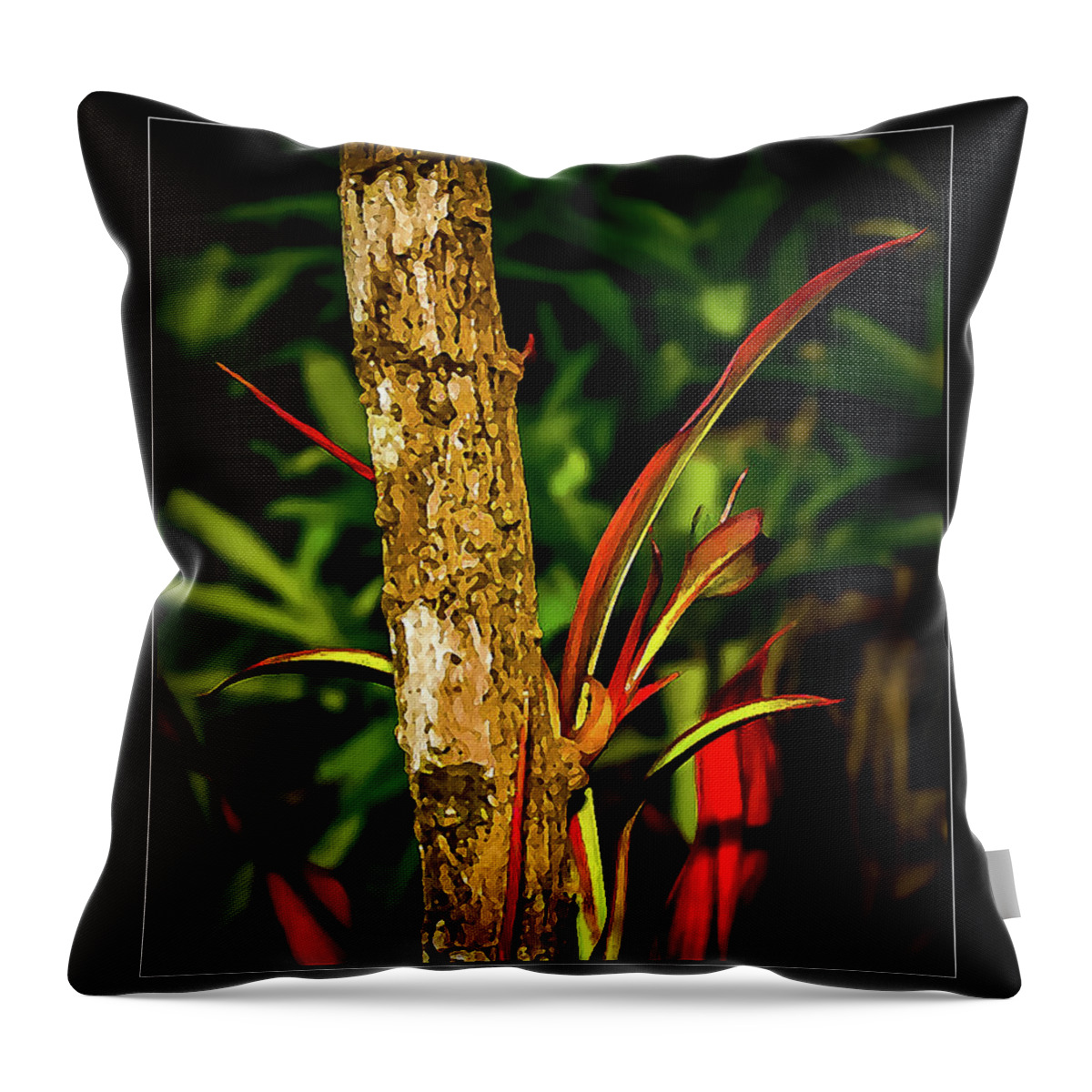 Ti Throw Pillow featuring the photograph Ti by Craig Watanabe