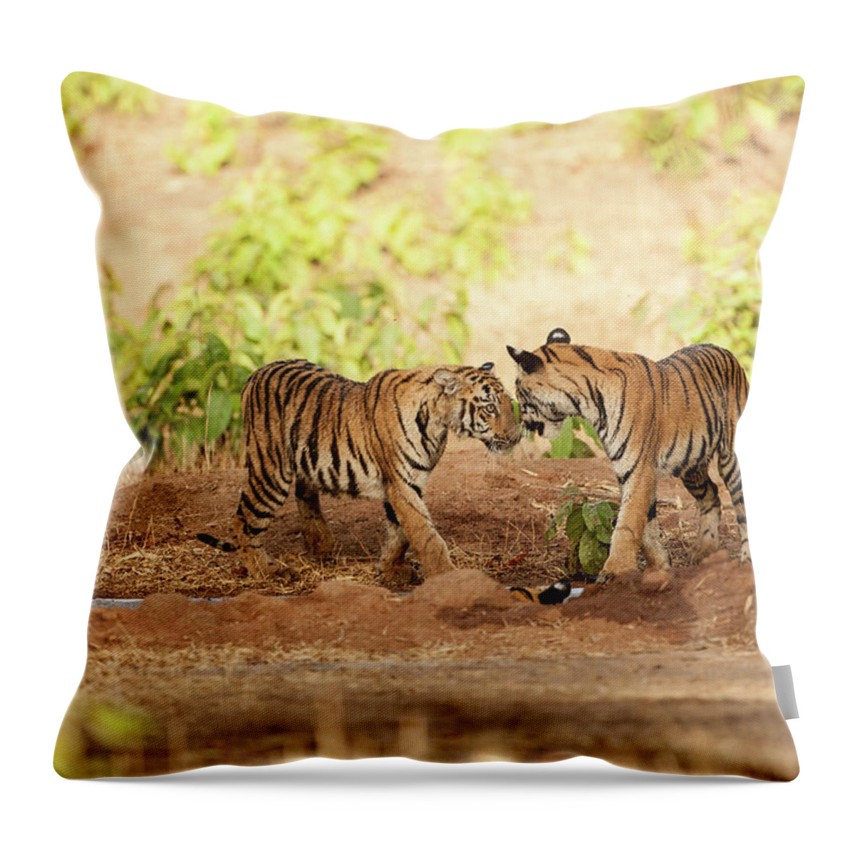 Grass Throw Pillow featuring the photograph Tiger Cubs, Tadoba by Ab Apana