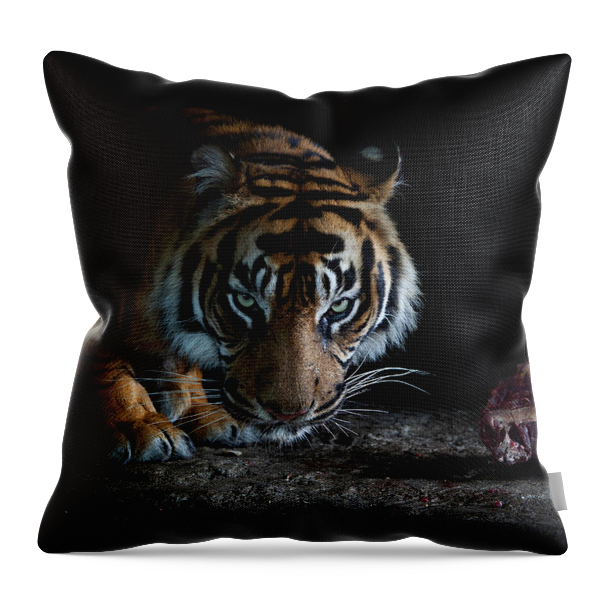 Animal Themes Throw Pillow featuring the photograph Tiger Dinner by By Valentijn Tempels