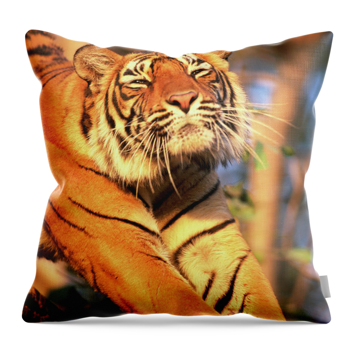 Ranthambore National Park Throw Pillow featuring the photograph Tiger Panthera Tigris Tigrisstretching by Art Wolfe