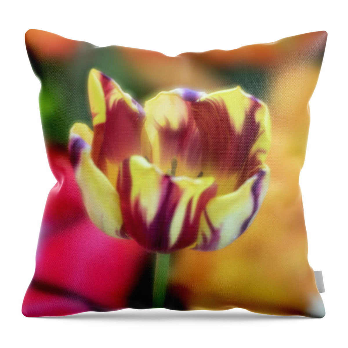 Tiger Tulip Flower Floral Botany Botanical Botanic Softfocus Soft Focus Brian Hale Brianhalephoto Ma Mass Massachusetts New England Newengland U.s.a. Usa Throw Pillow featuring the photograph Tiger Tulip 2 by Brian Hale