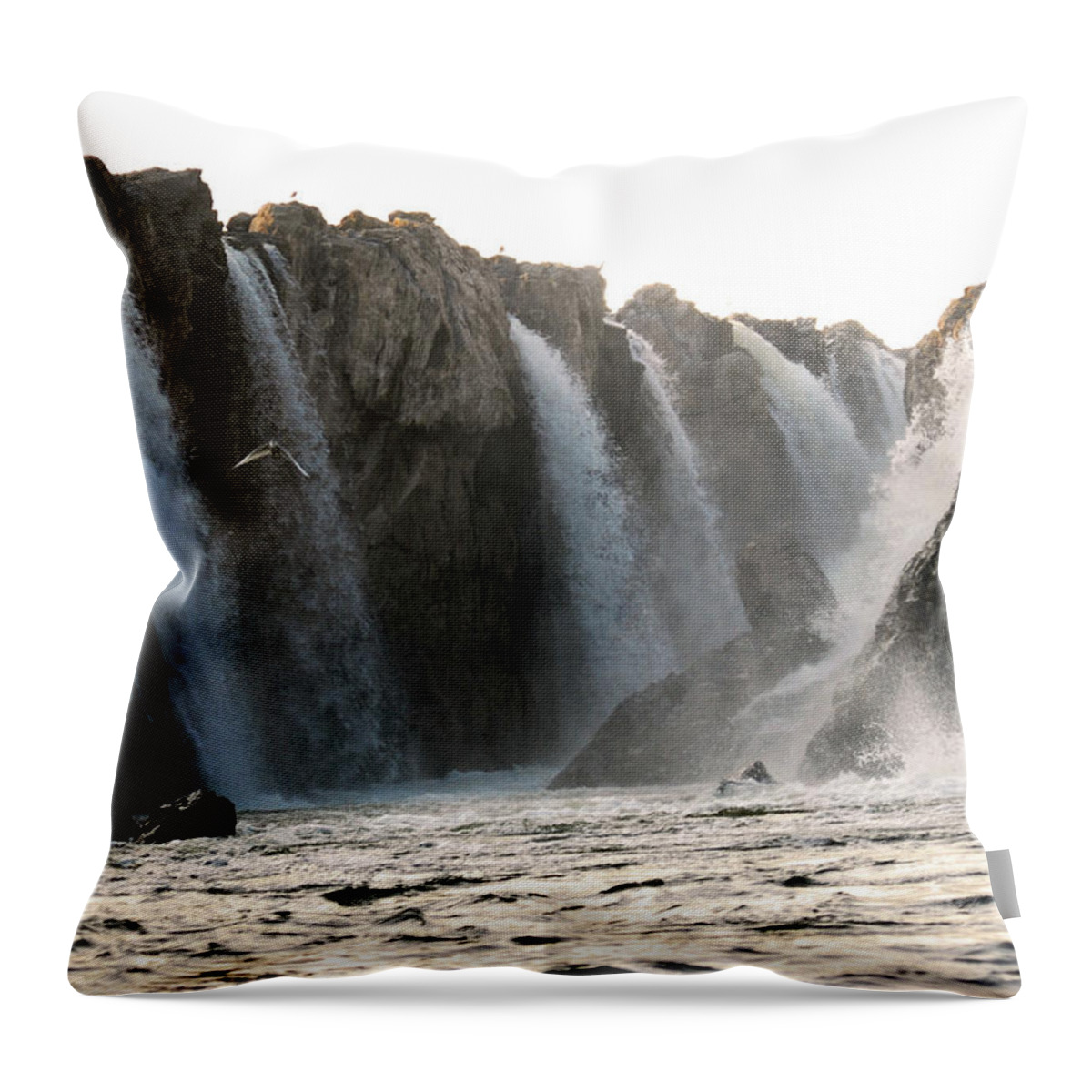 Scenics Throw Pillow featuring the photograph Time For Returning To Nest by Rabindranath Chakraborty Photography