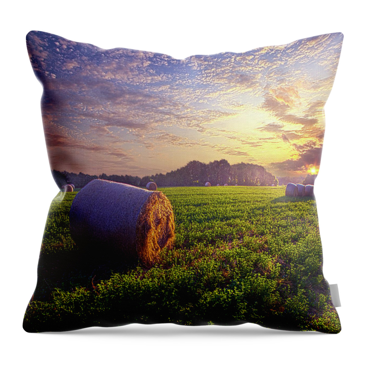 Life Throw Pillow featuring the photograph Times of Summer by Phil Koch