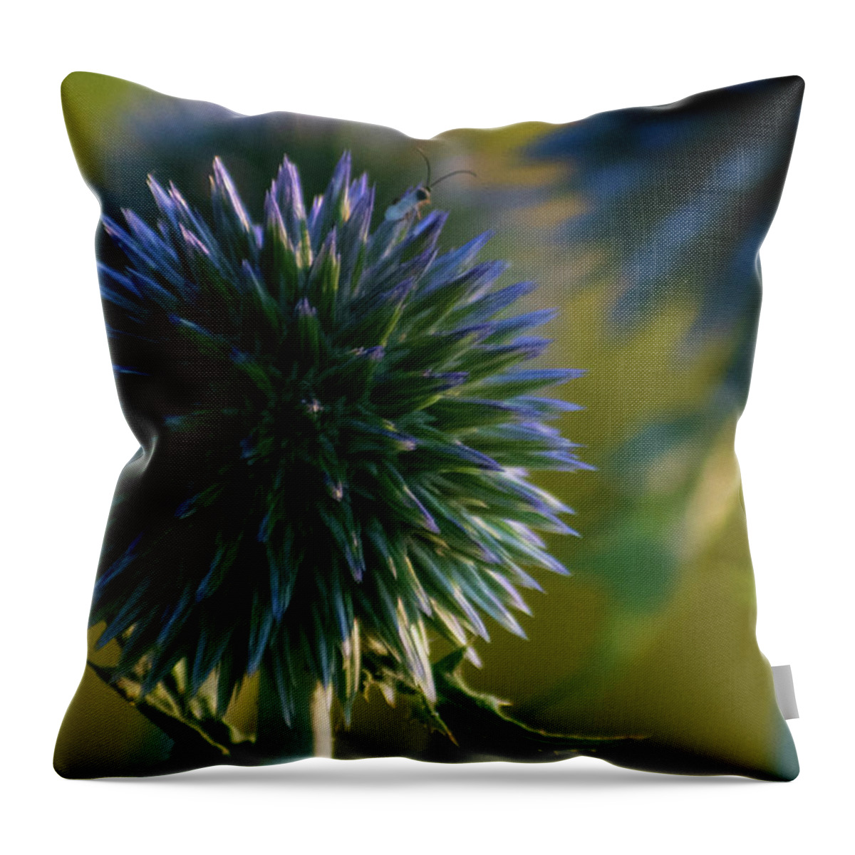 Botanical Throw Pillow featuring the photograph Tiny Visitor by Vicky Edgerly