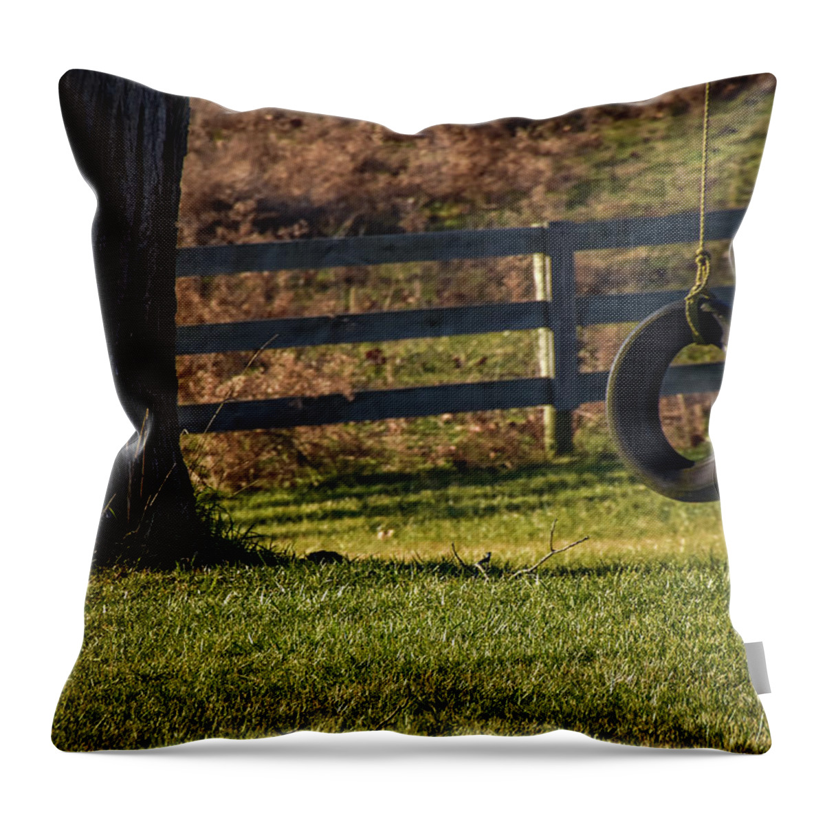 Tire Swing Throw Pillow featuring the photograph Tire Swing by Michelle Wittensoldner