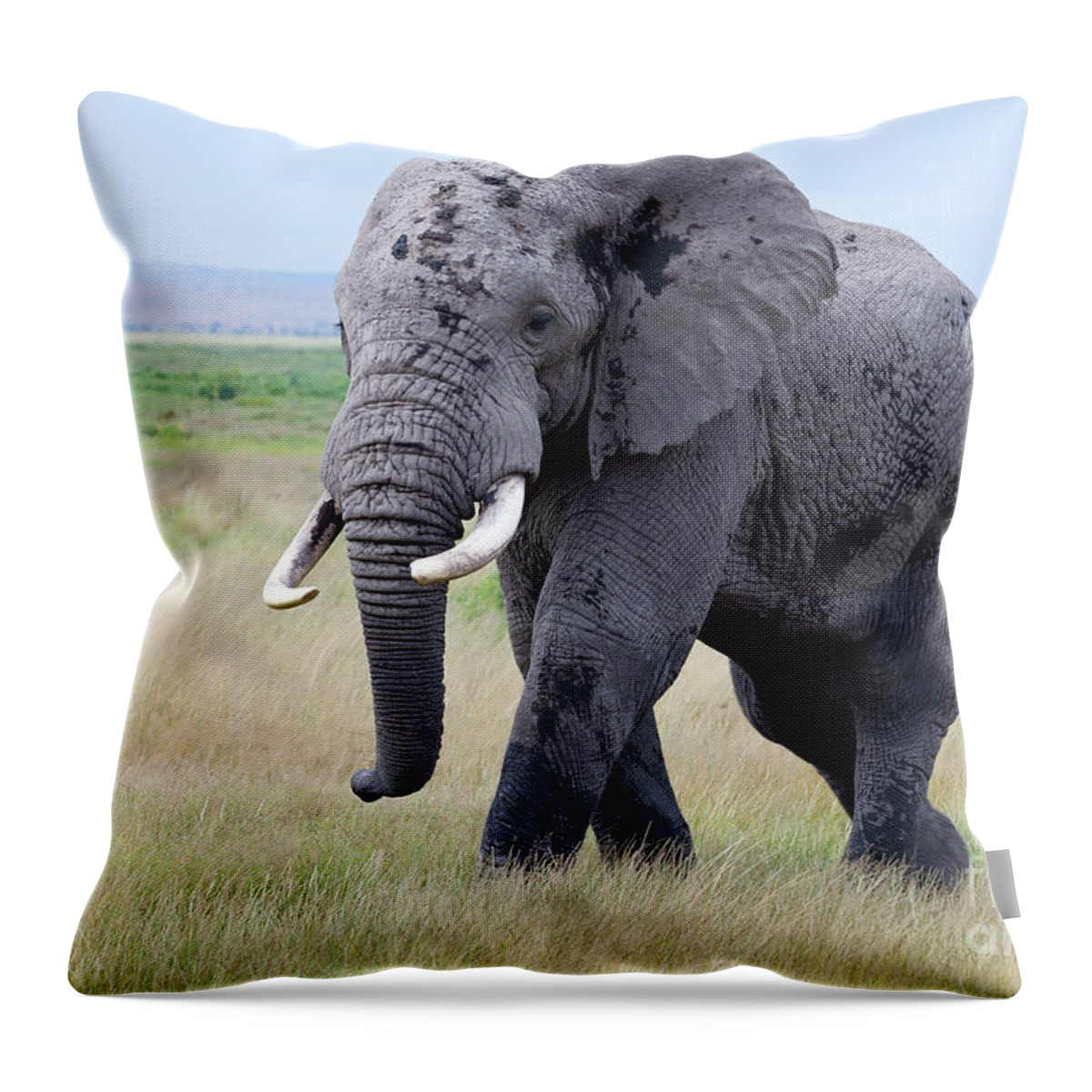 Elephant Throw Pillow featuring the photograph Titan by Stephen Schwiesow