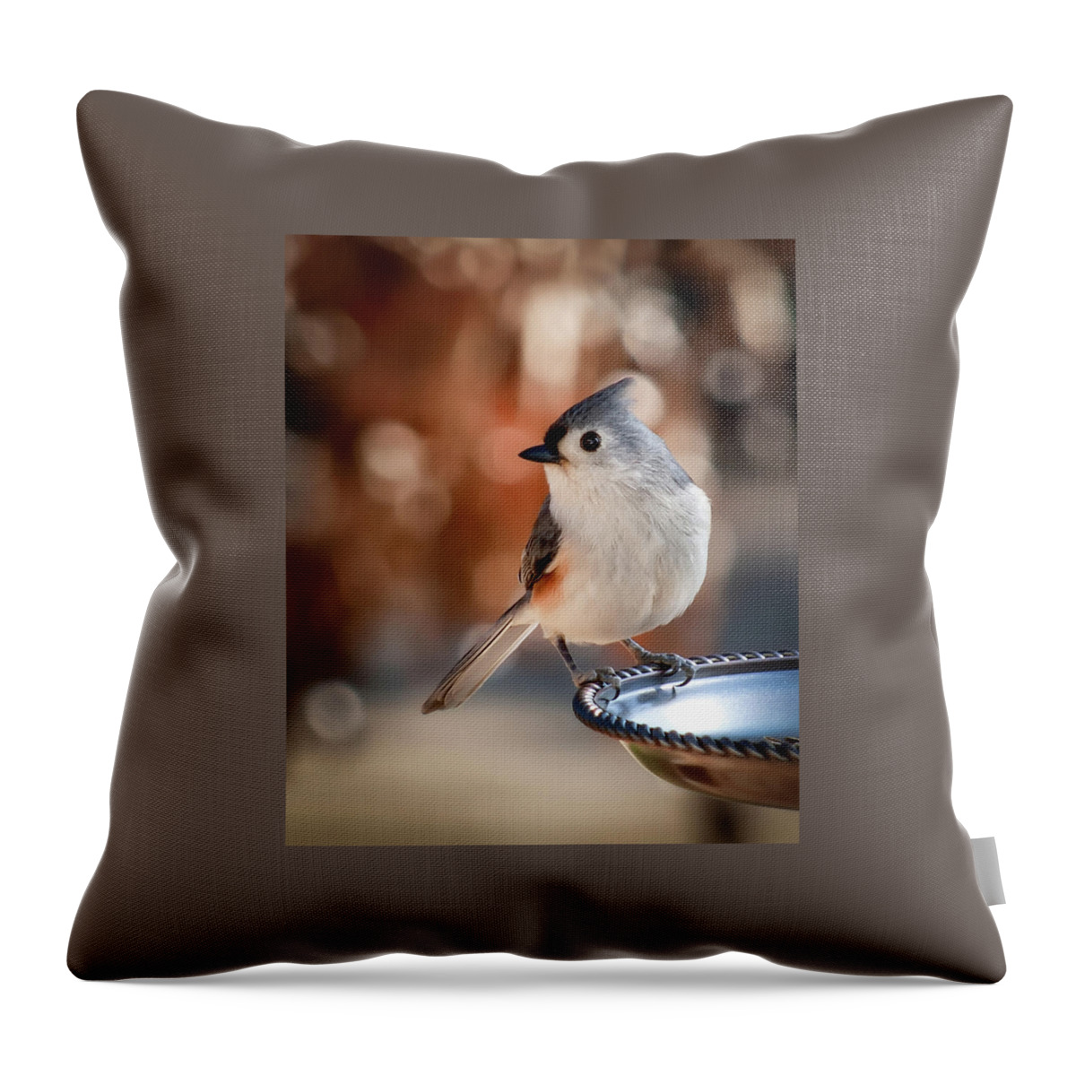 Titmouse Throw Pillow featuring the photograph Titmouse by James Barber