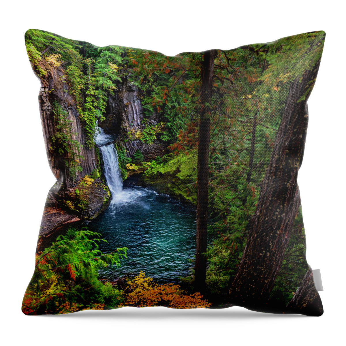 Toketee Falls Throw Pillow featuring the photograph Hidden Treasure by John Poon