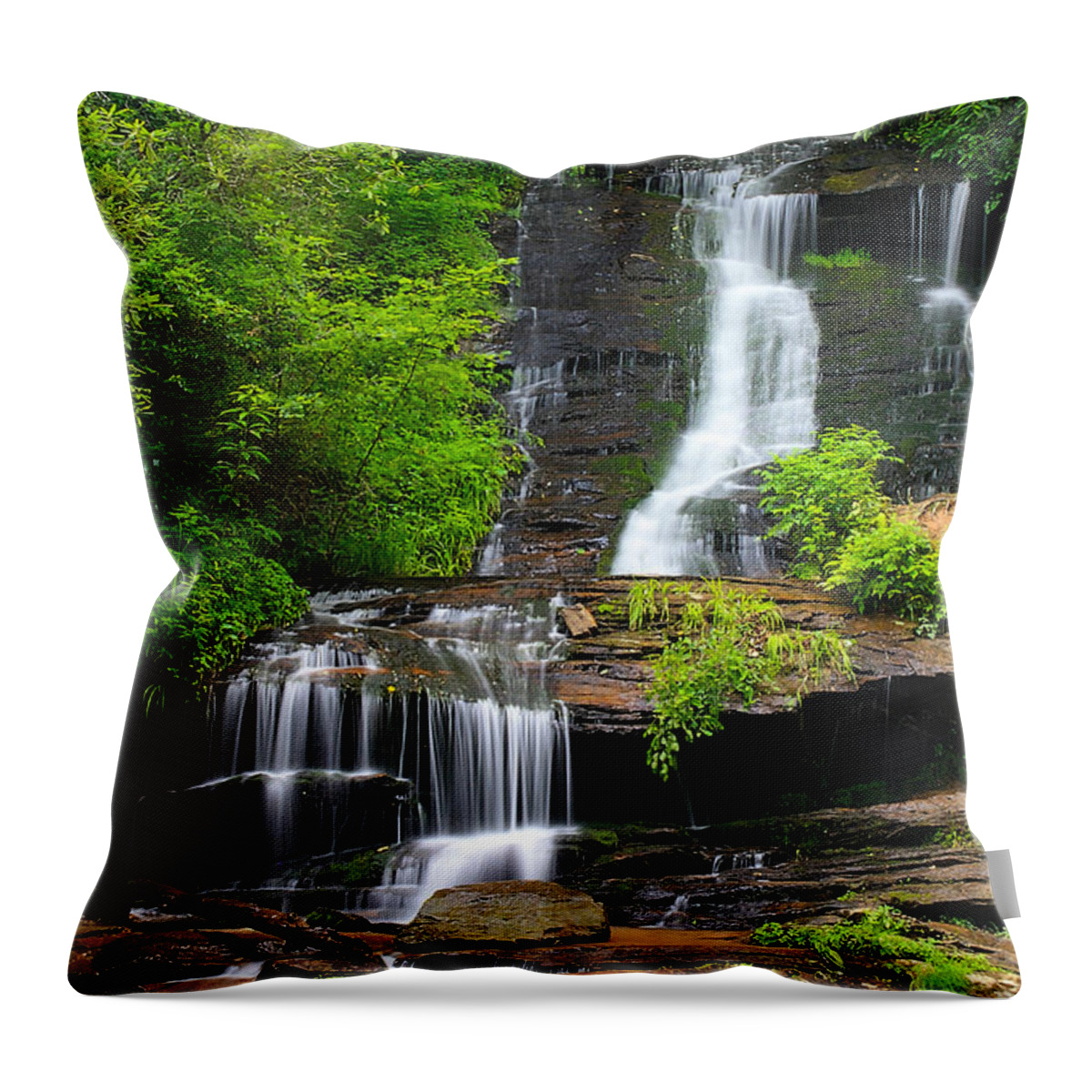 Art Prints Throw Pillow featuring the photograph Tom Branch by Nunweiler Photography