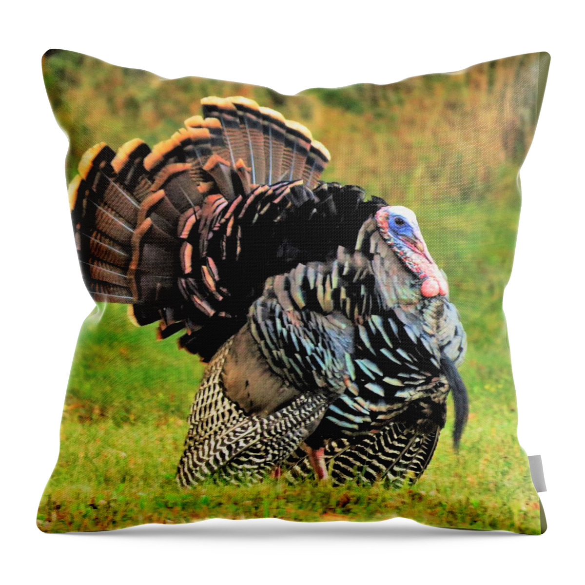 Turkeys Throw Pillow featuring the photograph Tom Turkey by Lori Frisch