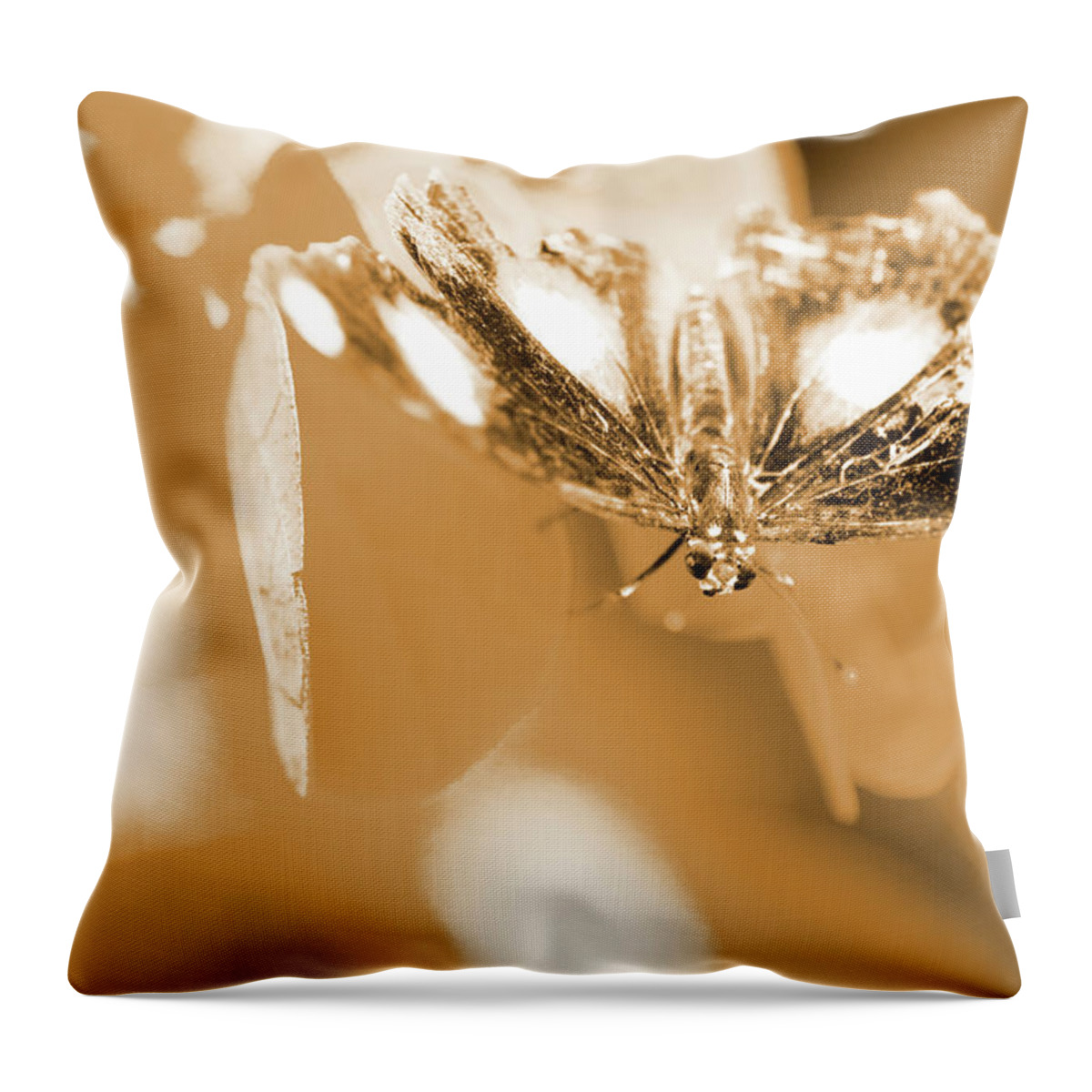 Butterfly Throw Pillow featuring the photograph Toned tropics by Jorgo Photography
