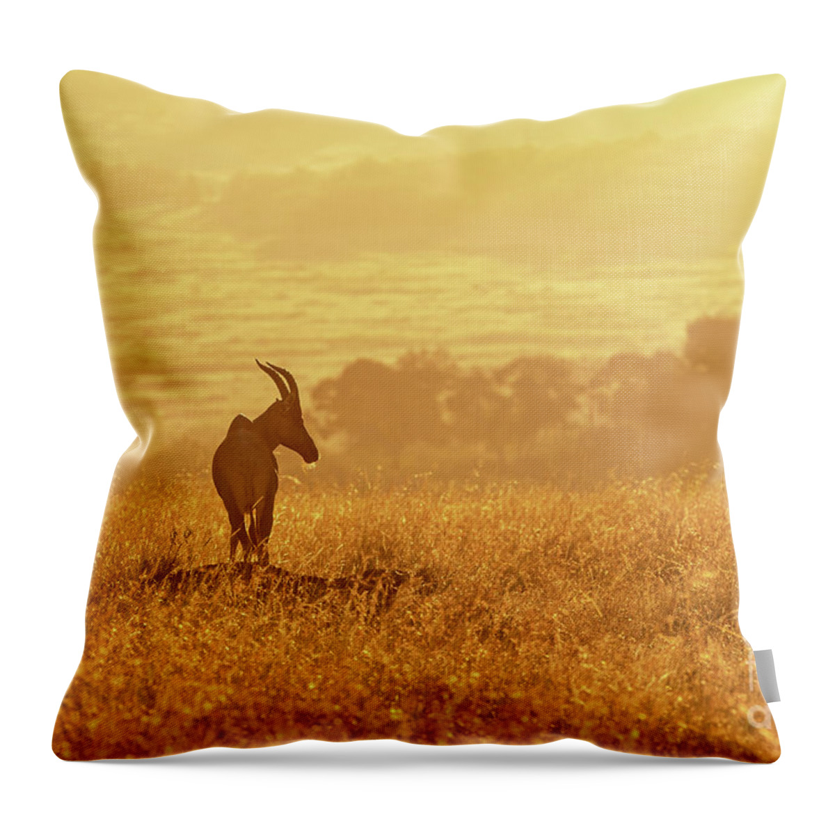 Safari Throw Pillow featuring the photograph Topi in early morning sunlight by Jane Rix