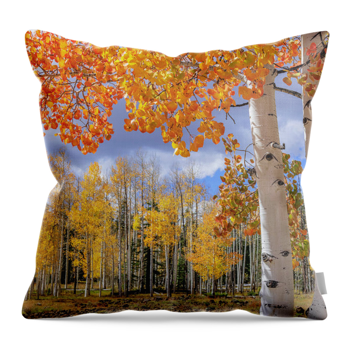 Aspen Throw Pillow featuring the photograph Touch of Fall by Chad Dutson