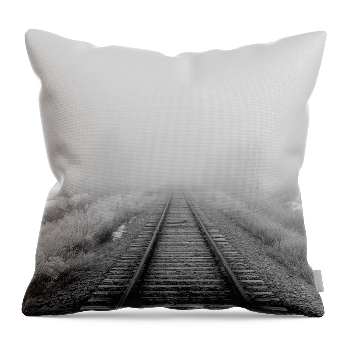 Tranquility Throw Pillow featuring the photograph Tracks by Jim Bushelle
