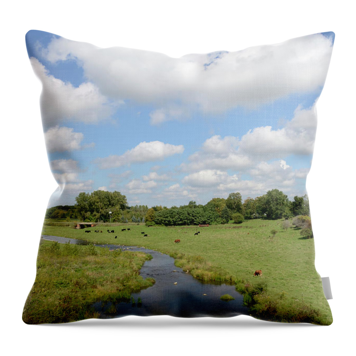 Grass Throw Pillow featuring the photograph Traditional Farm by Rivernorthphotography