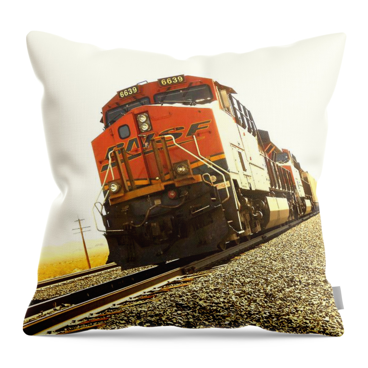 Ambience Throw Pillow featuring the photograph Train in the Desert by Dietmar Scherf