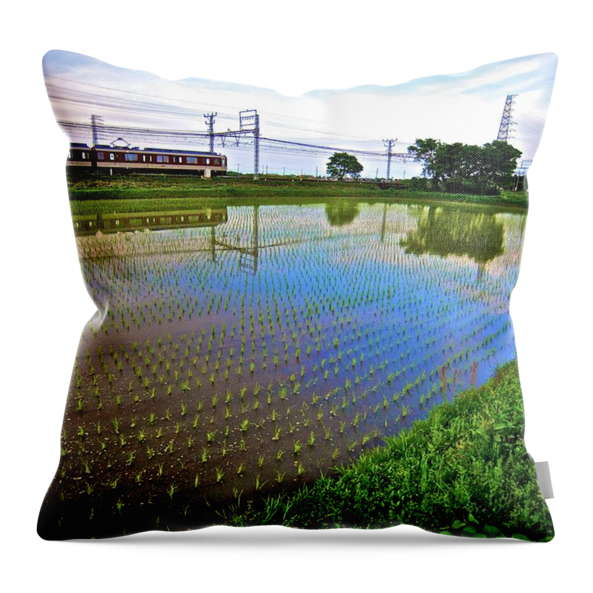 Scenics Throw Pillow featuring the photograph Train Passing By A Rice Field In Rural by Jake Jung