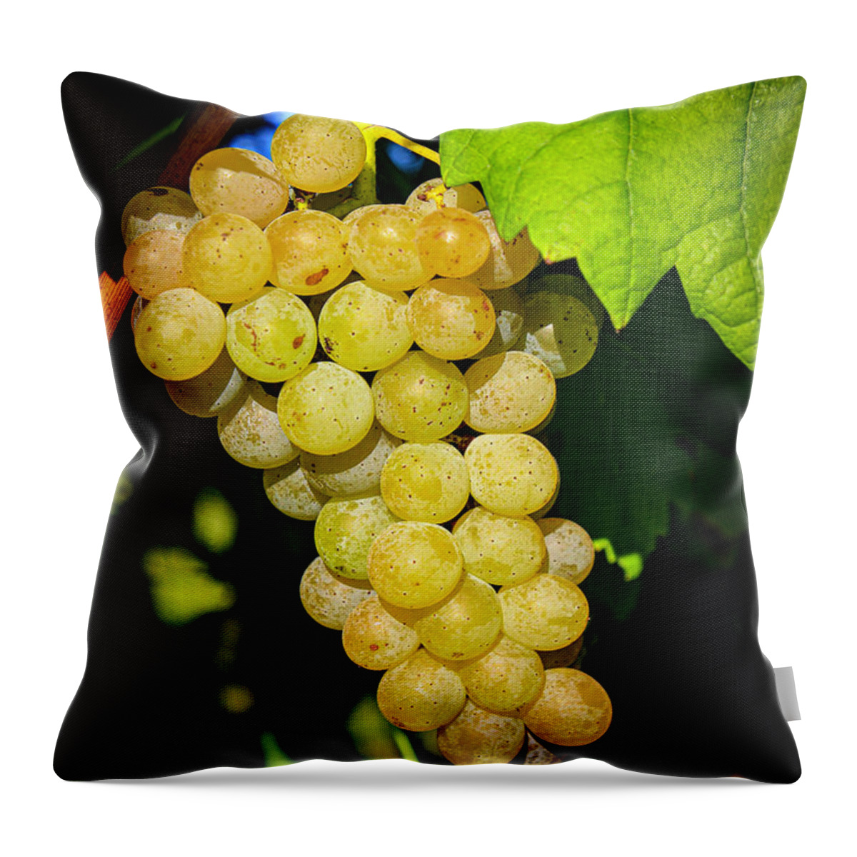 Grapes Throw Pillow featuring the photograph Traminette by Dale R Carlson