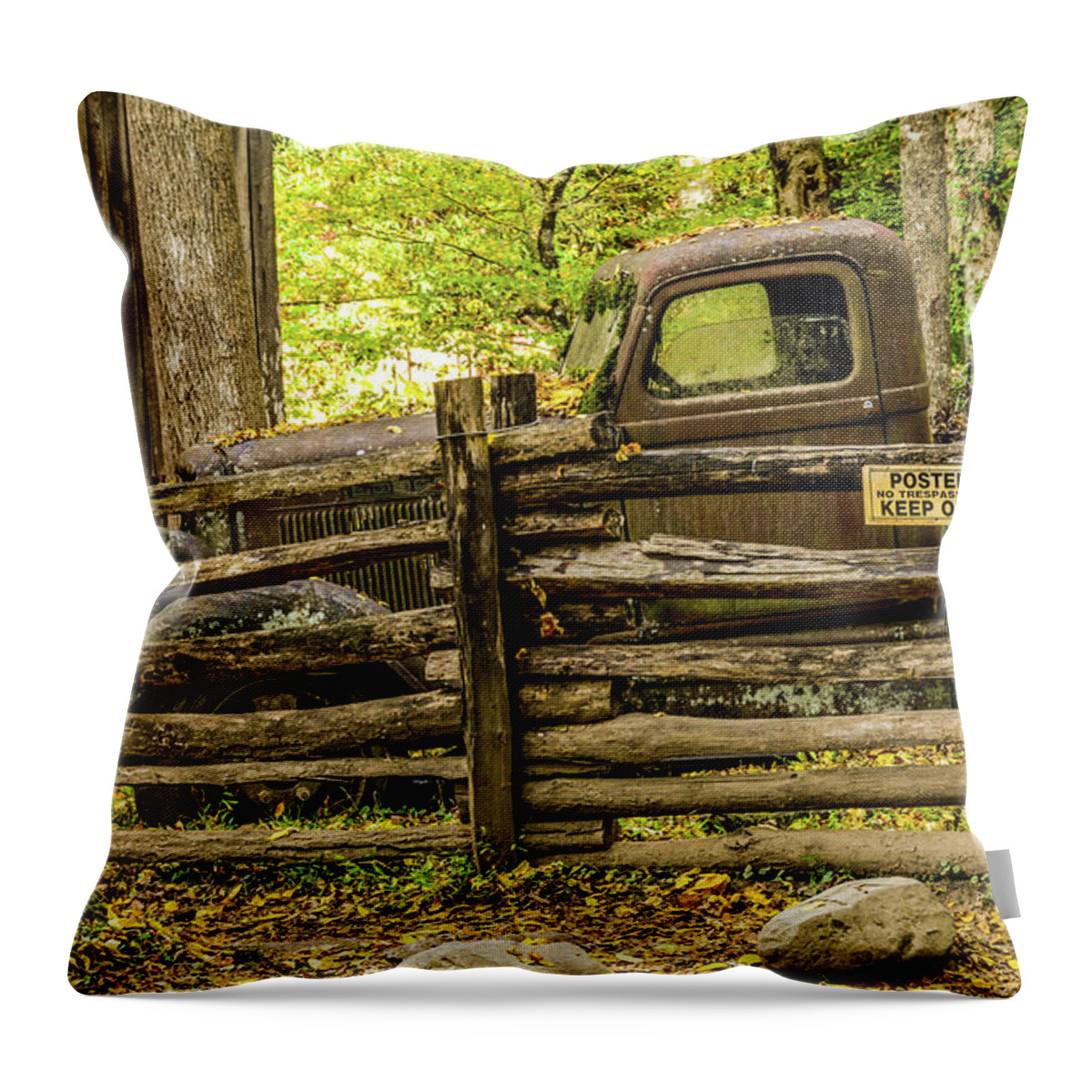 Old Throw Pillow featuring the photograph Treasure Behind the Fence by Marcy Wielfaert