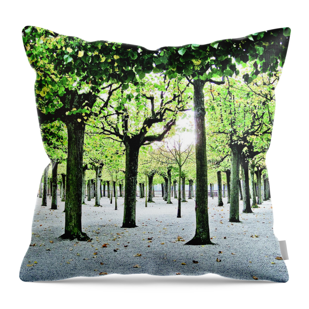 Tranquility Throw Pillow featuring the photograph Tree Canopy In Peaceful Garden by Bradpattersonphotography