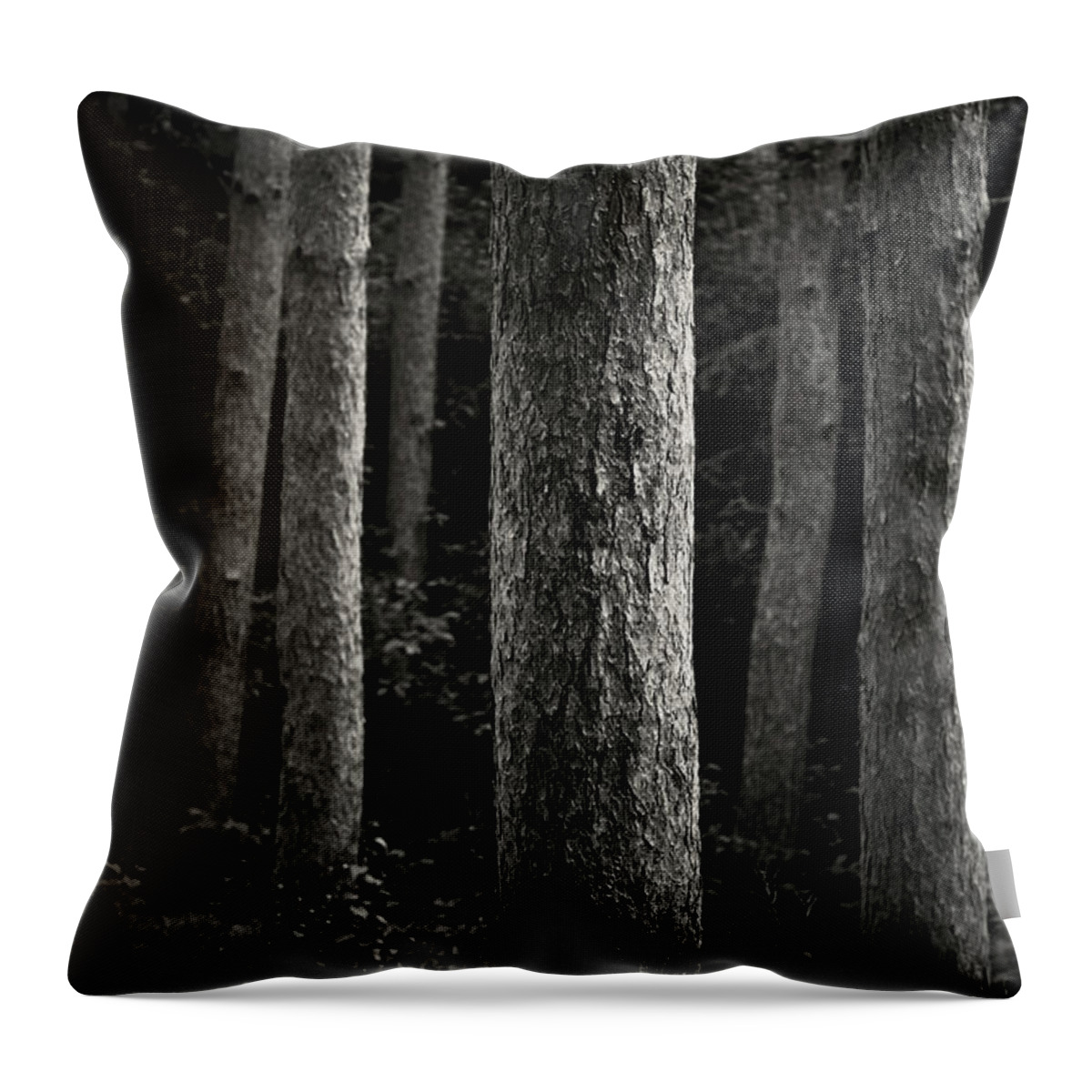 Michigan Throw Pillow featuring the photograph Tree Trunks by Image By Marc Gutierrez