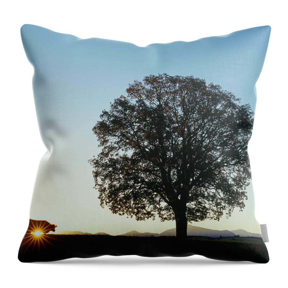 Estock Throw Pillow featuring the digital art Tree With Cow by Christian Back