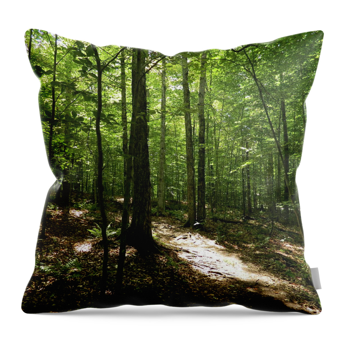  Throw Pillow featuring the photograph Trees-2 by Adrian Maggio