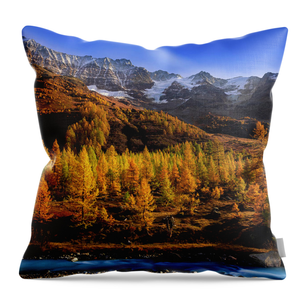 Sunset Throw Pillow featuring the photograph Trees at the pool by Dominique Dubied