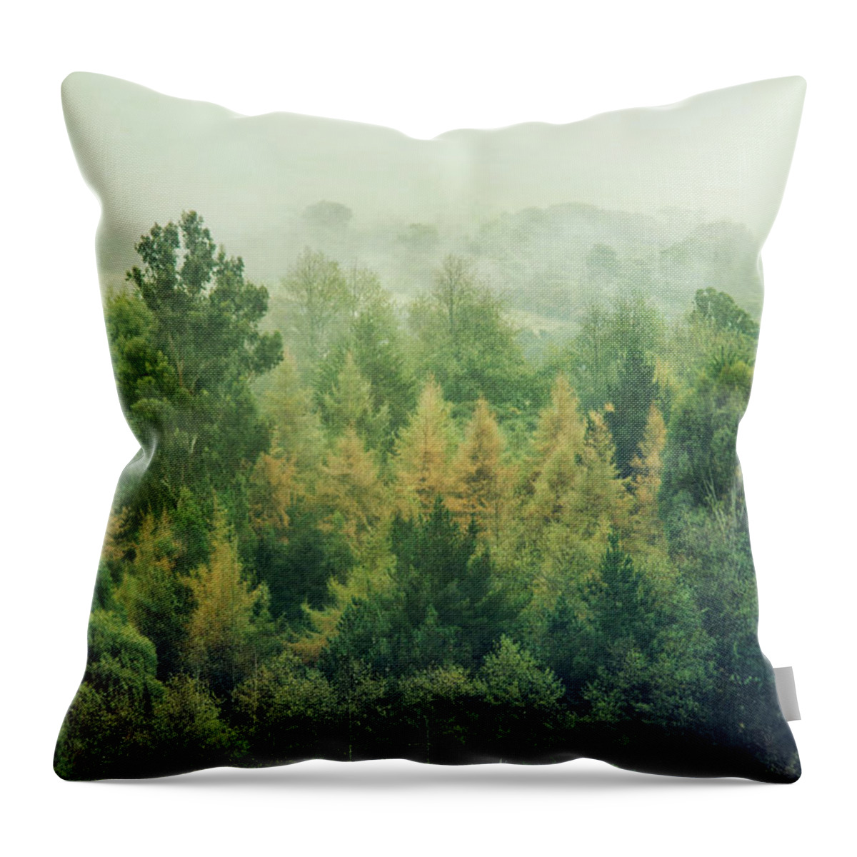 Scenics Throw Pillow featuring the photograph Trees In Mist by Jill Ferry