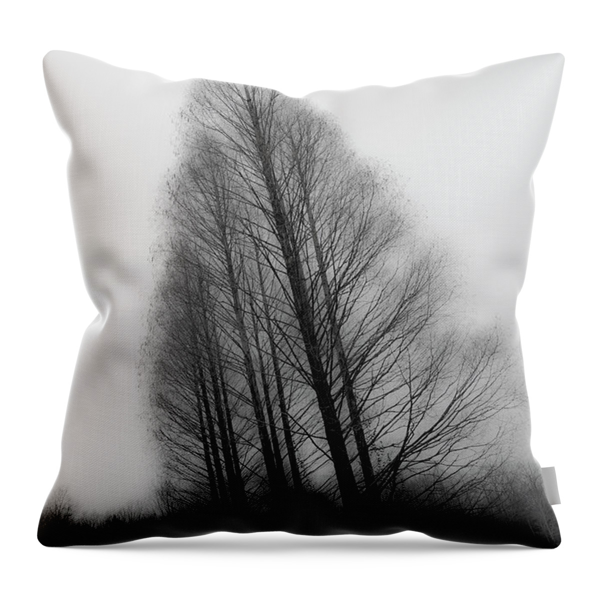 Tranquility Throw Pillow featuring the photograph Trees In Winter Without Leaves by Marie Hickman