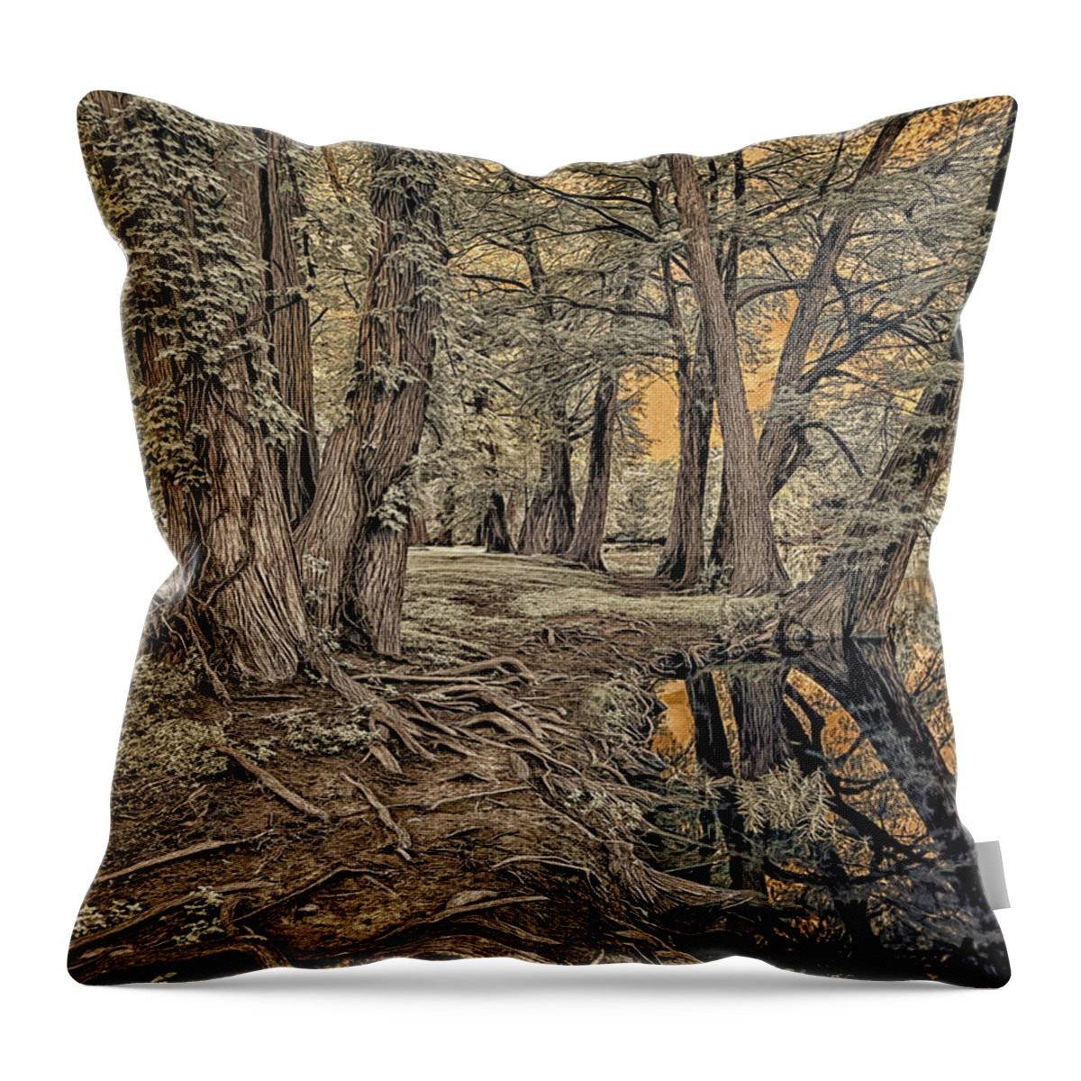 Top Artist Throw Pillow featuring the photograph Trees on the Guadalupe Infrared by Norman Gabitzsch