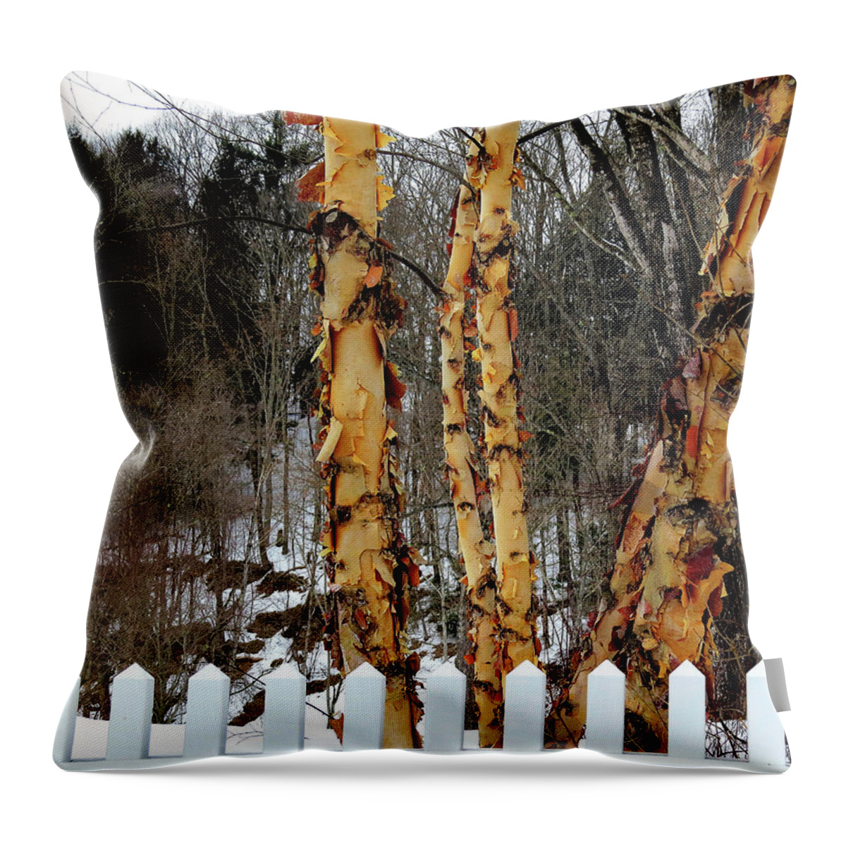 Trees Throw Pillow featuring the photograph Trees Shedding Their Skin by Linda Stern