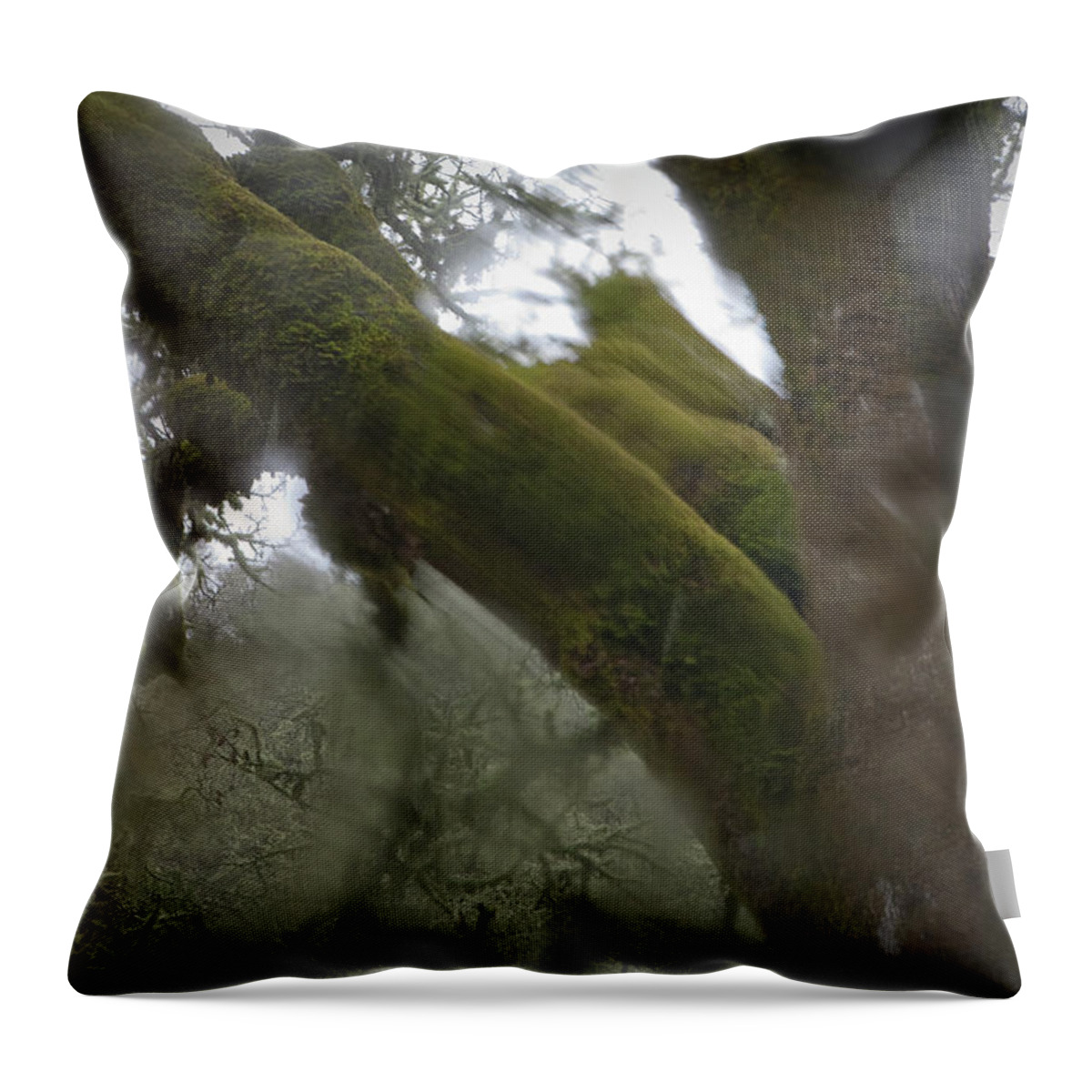 Horror Throw Pillow featuring the photograph Trees Through Car Windshield In Rain by Diane Miller