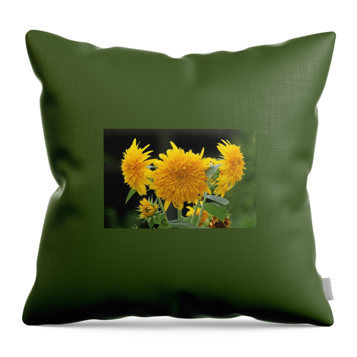 Florida Throw Pillow featuring the photograph Tri-Flora-Tops by Lindsey Floyd