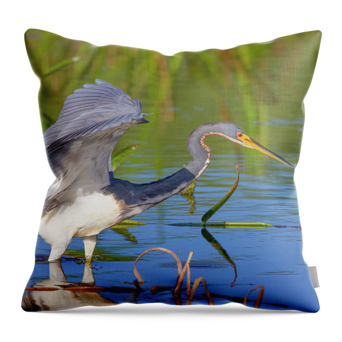 Bird Throw Pillow featuring the photograph Tricolored Heron at Sunset by Mark Andrew Thomas