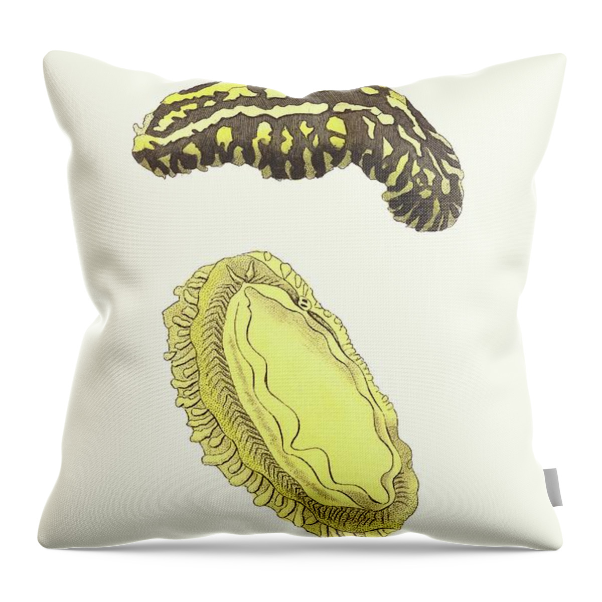 Illustration Throw Pillow featuring the painting Trilineated Phyllidia by George Shaw