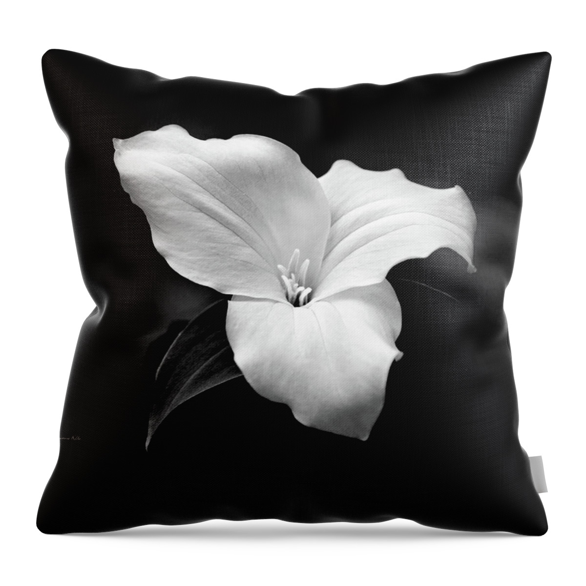 Black And White Throw Pillow featuring the photograph Trillium Flower Black and White by Christina Rollo