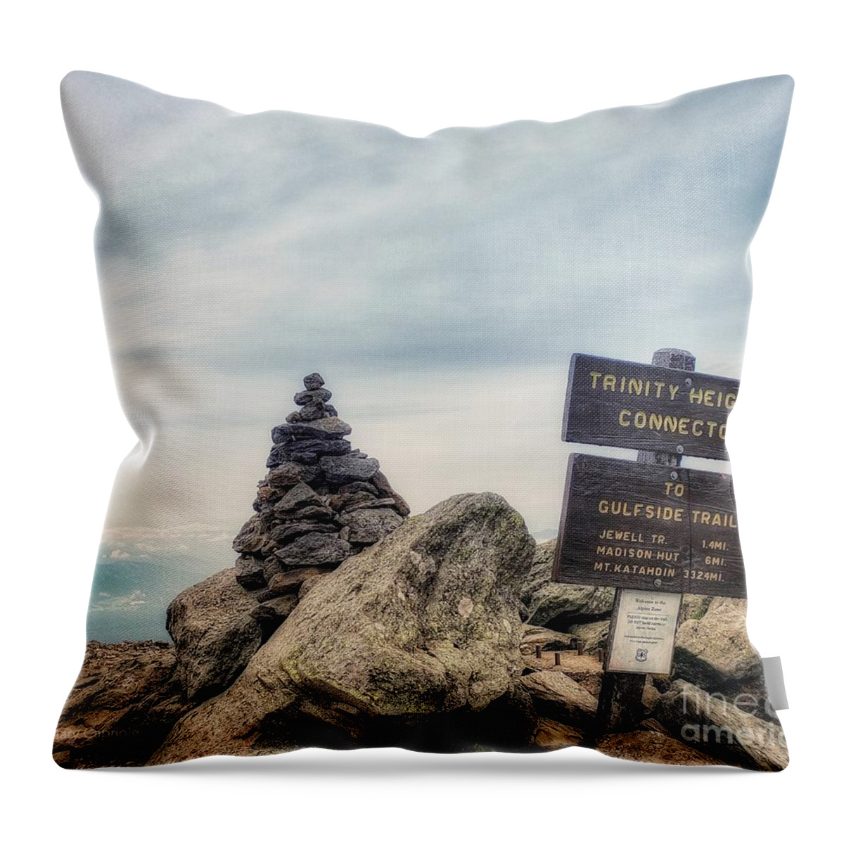 Trinity Heights Connector Throw Pillow featuring the photograph Trinity Heights Connector by Mary Capriole