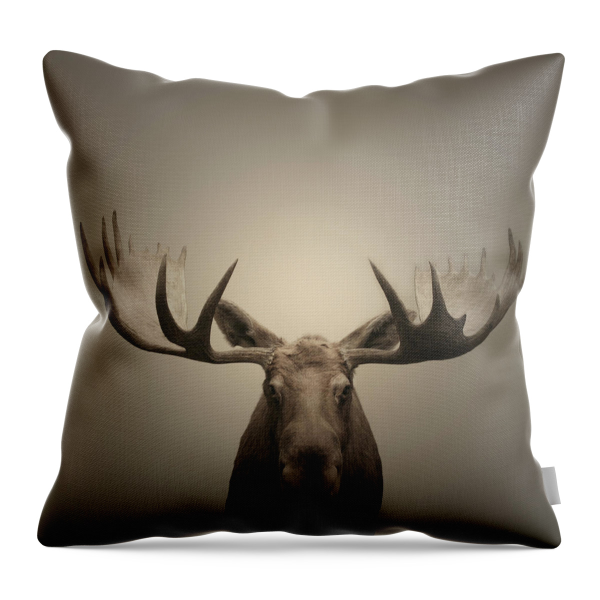 The End Throw Pillow featuring the photograph Trophee by Jeff Roques