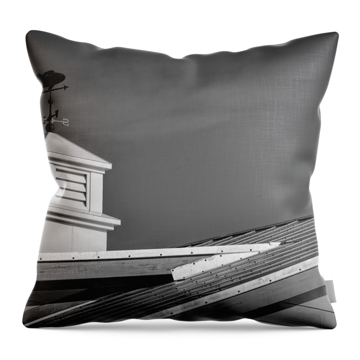 Black And White Throw Pillow featuring the photograph Tropical Direction by T Lynn Dodsworth