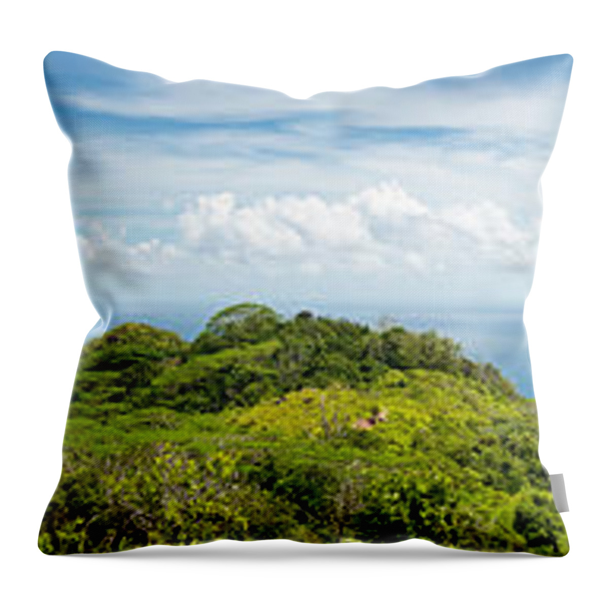 Tropical Rainforest Throw Pillow featuring the photograph Tropical Island Super Panorama Lush by Fotovoyager