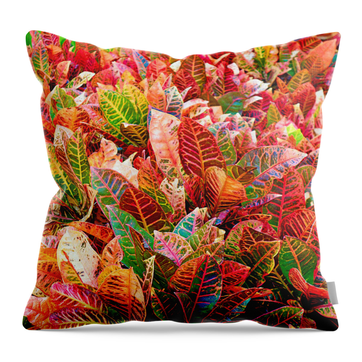 Tropical Throw Pillow featuring the photograph Tropical Plantation Maui Study 4 by Robert Meyers-Lussier
