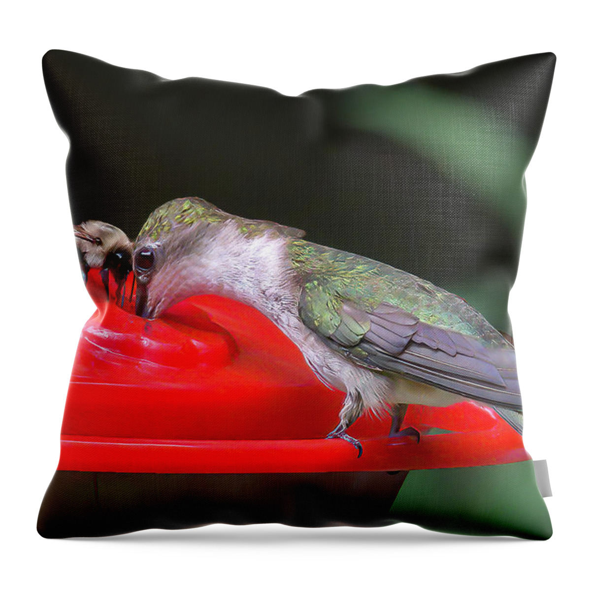 Hummingbirds Throw Pillow featuring the photograph Truce by Norman Peay