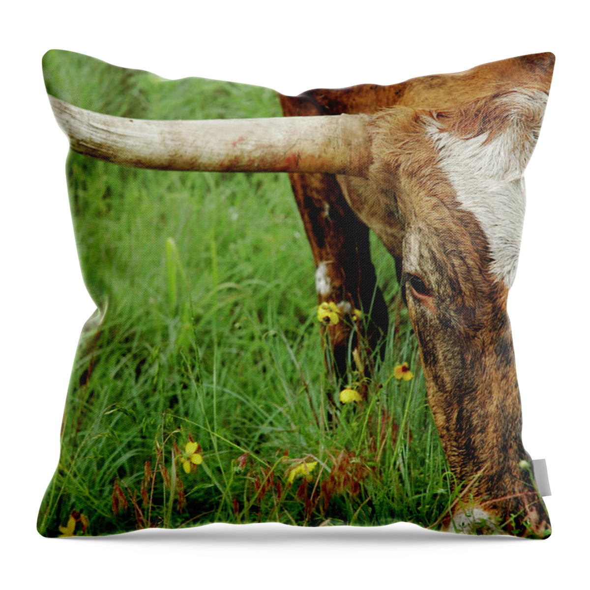 Horned Throw Pillow featuring the photograph True Texas Longhorn by Flashpoint